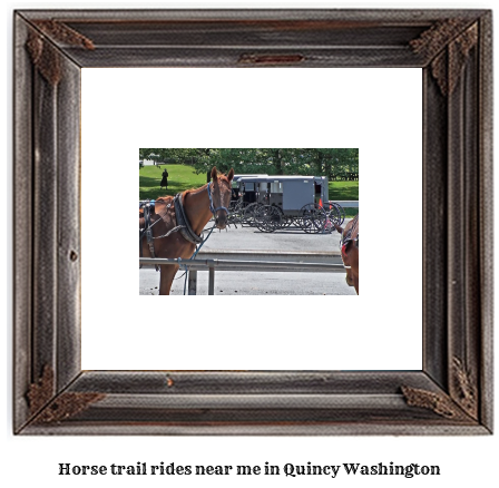 horse trail rides near me in Quincy, Washington